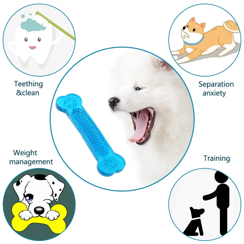 Pet Oral Health Chew Toy