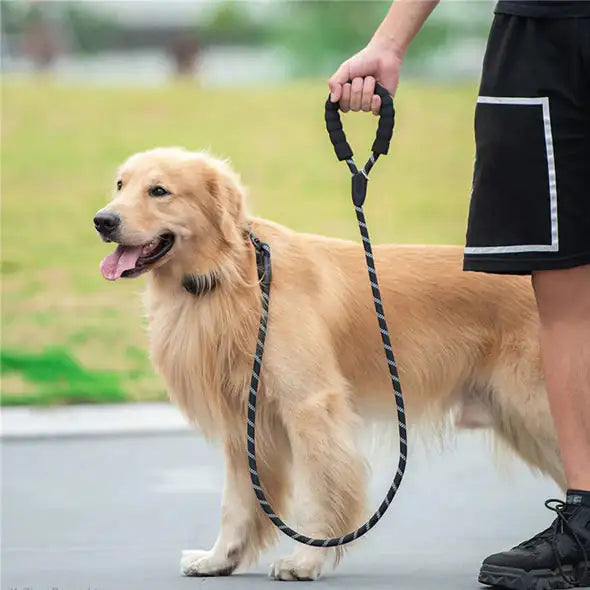 GlowGuard Dog Leash