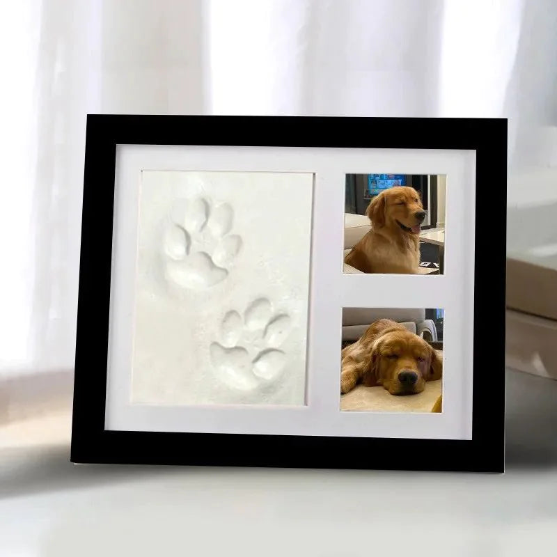 DIY Pet Pawprint Kit