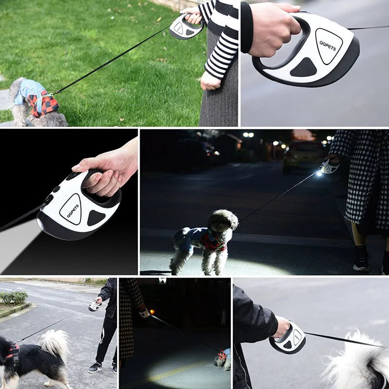 Dog Leash with LED Light