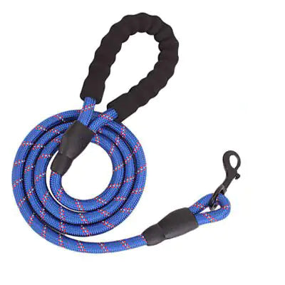 GlowGuard Dog Leash