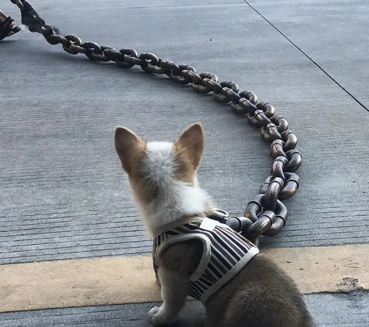 Classic Iron Dog Leash