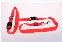 Runner's Companion Dog Leash