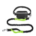 Hands-Free Dog Leash with Zipper Bag