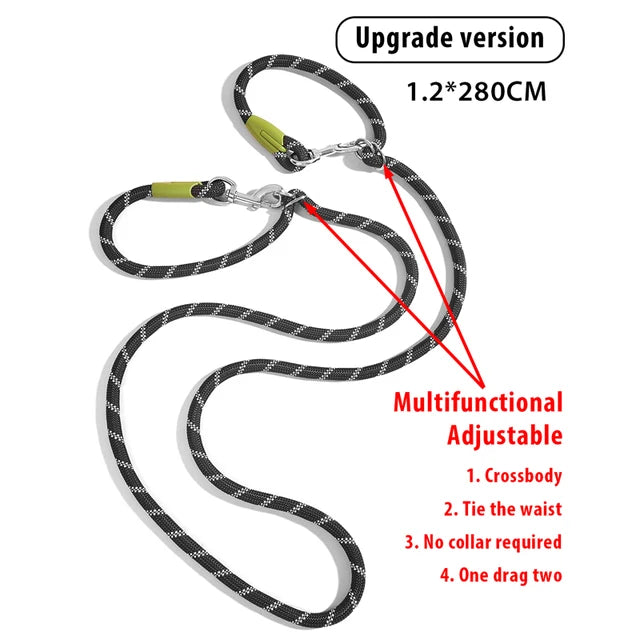 Reflective Nylon Dog Leash