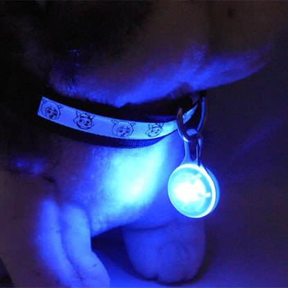 BrightNight LED Dog Collar