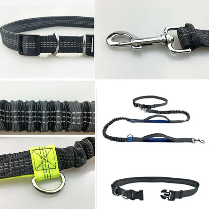 GlowTrack Pet Leashes