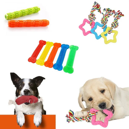 Pet Oral Health Chew Toy