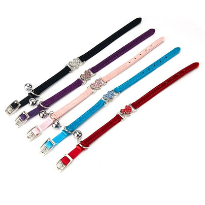 Pet Training Leash Collars