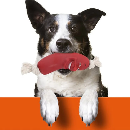 Pet Oral Health Chew Toy