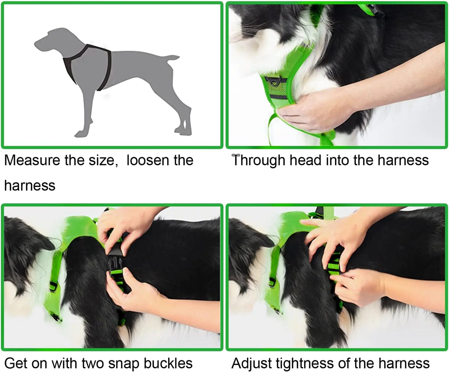 Adventure Pup All-In-One Safety Harness