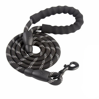 Reflective Nylon Dog Leash: Comfort and Safety