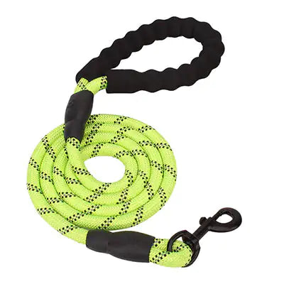 GlowGuard Dog Leash