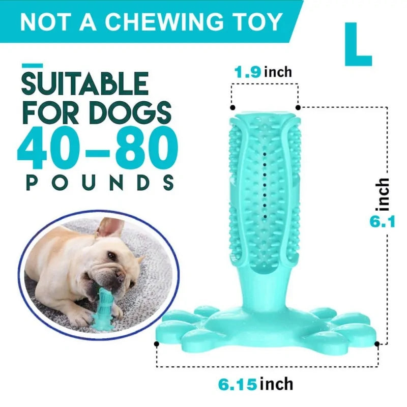 Canine Dental Brush