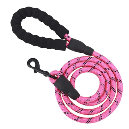 GlowGuard Dog Leash